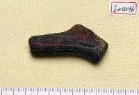 藏品(鹿角基部)的圖片